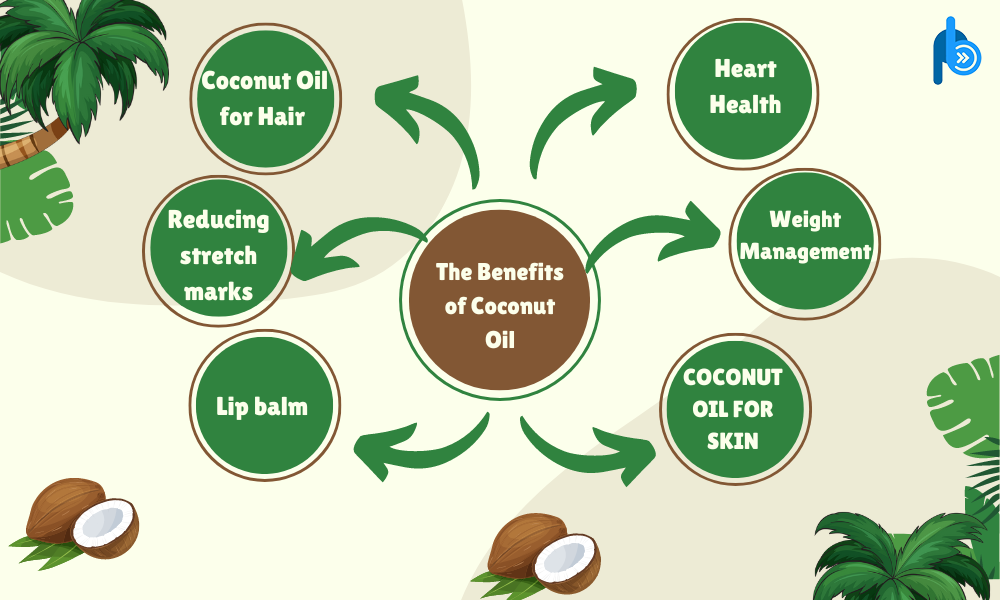 The Benefits of Coconut Oil