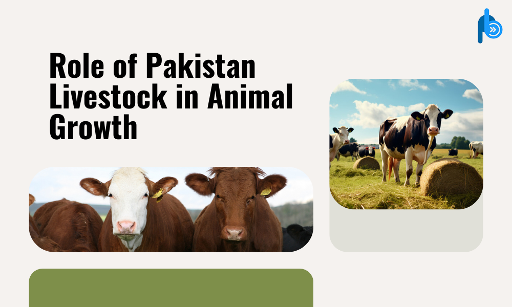 Role of Pakistan Livestock in Animal Growth