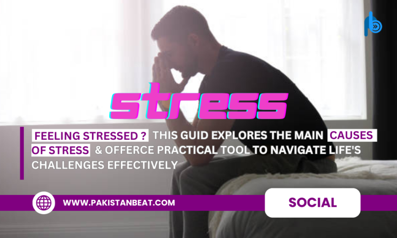 Interesting Facts About Stress