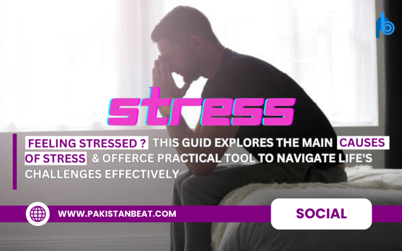 Interesting Facts About Stress