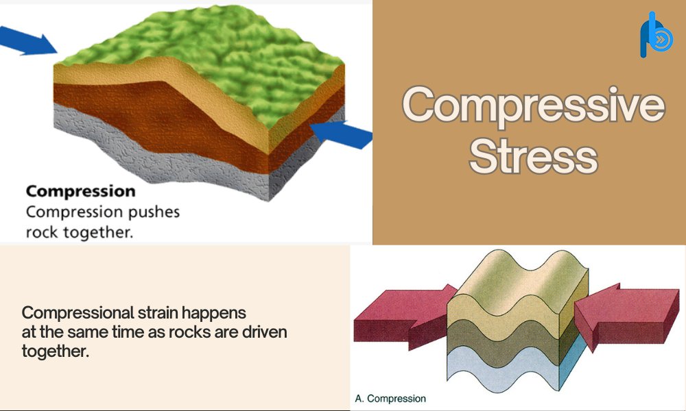 Types of Stress Causing Rock Folding: Compressive Stress