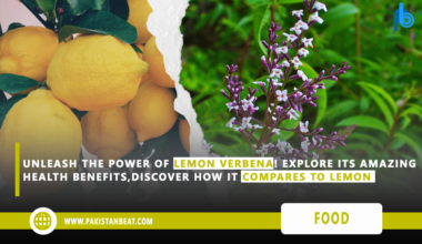 Health Benefits of Lemon Verbena and Lemon