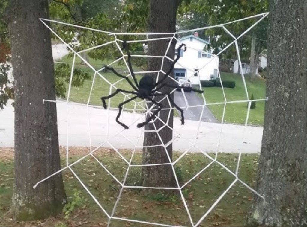 DIY Halloween Decorations: Spider Web Yard