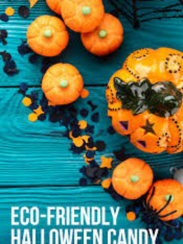 Eco-Friendly Halloween* – Sustainable costumes, decorations, and candy alternatives